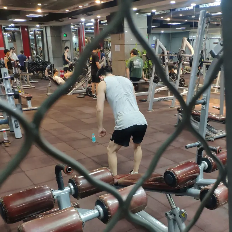 This case study documents the performance, constraints, and operational limitations of a fiber-optic daylighting system (Dayluxa configuration) applied in a windowless indoor fitness facility under real environmental conditions.