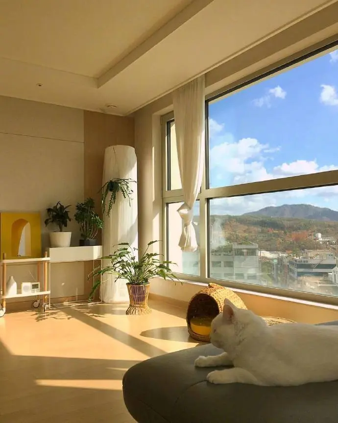 A data-driven comparison between real sunlight transmission and artificial full-spectrum simulation for modern building illumination